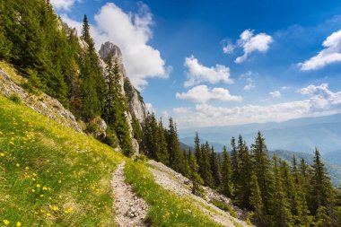 Sis bulutları ile yaz aylarında Transilvanya Alpleri'nde dağ manzarası