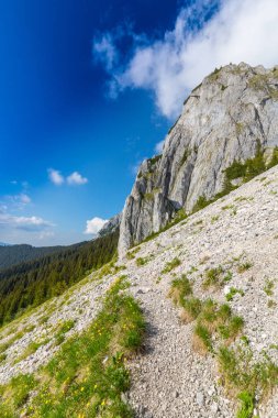 Sis bulutları ile yaz aylarında Transilvanya Alpleri'nde dağ manzarası