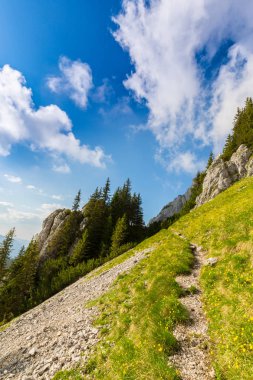 Sis bulutları ile yaz aylarında Transilvanya Alpleri'nde dağ manzarası