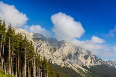 Sis bulutları ile yaz aylarında Transilvanya Alpleri'nde dağ manzarası