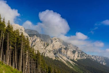 Sis bulutları ile yaz aylarında Transilvanya Alpleri'nde dağ manzarası