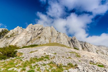 Sis bulutları ile yaz aylarında Transilvanya Alpleri'nde dağ manzarası