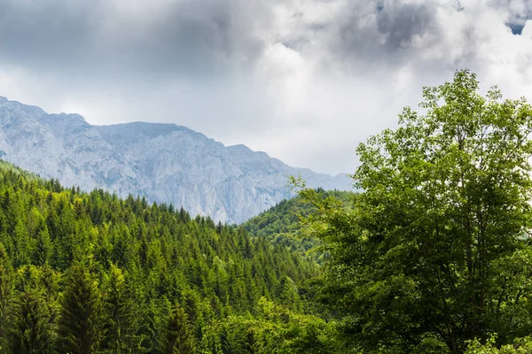 Paisaje de montaña en los Alpes transilvanos en verano con nubes de niebla — Foto de Stock