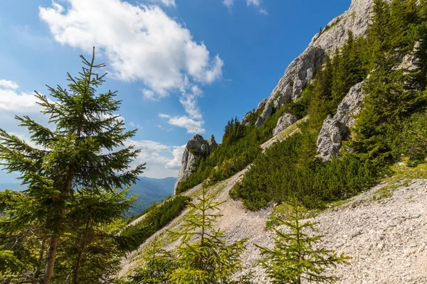 Sis bulutları ile yaz aylarında Transilvanya Alpleri'nde dağ manzarası — Stok fotoğraf