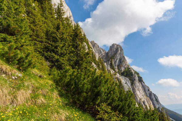 Mountain scenery in the Transylvanian Alps in summer with mist clouds