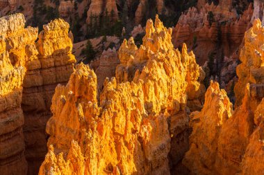 Sıcak gün batımı ışık altında parlak sahne Bryce Canyon Milli Parkı,