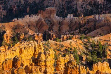 Sıcak gün batımı ışık altında parlak sahne Bryce Canyon Milli Parkı,