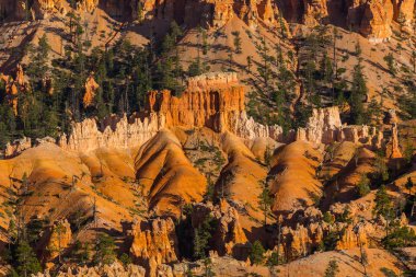 Sıcak gün batımı ışık altında parlak sahne Bryce Canyon Milli Parkı,