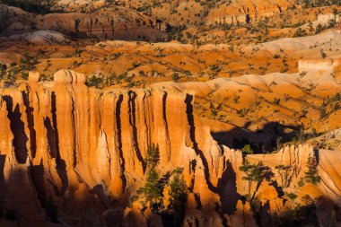 Sıcak gün batımı ışık altında parlak sahne Bryce Canyon Milli Parkı,