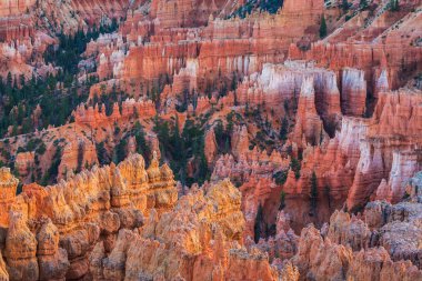 Sıcak gün batımı ışık altında parlak sahne Bryce Canyon Milli Parkı,
