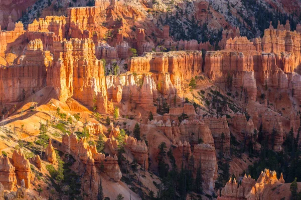 Paisaje luminoso en el Parque Nacional Bryce Canyon, bajo una cálida luz del atardecer — Foto de Stock