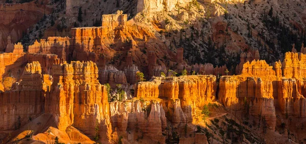 Paisaje luminoso en el Parque Nacional Bryce Canyon, bajo una cálida luz del atardecer — Foto de Stock