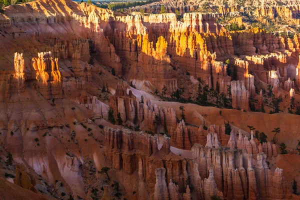 Paisaje luminoso en el Parque Nacional Bryce Canyon, bajo una cálida luz del atardecer — Foto de Stock