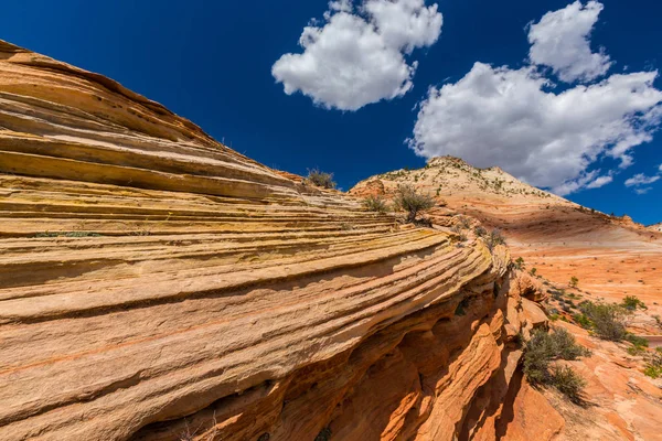 Paisaje luminoso en el Parque Nacional Bryce Canyon, bajo una cálida luz del atardecer — Foto de Stock