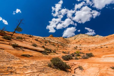 Sıcak gün batımı ışık altında parlak sahne Bryce Canyon Milli Parkı,