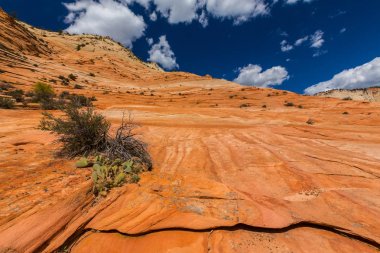 Sıcak gün batımı ışık altında parlak sahne Bryce Canyon Milli Parkı,