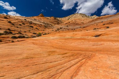 Sıcak gün batımı ışık altında parlak sahne Bryce Canyon Milli Parkı,
