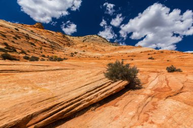Sıcak gün batımı ışık altında parlak sahne Bryce Canyon Milli Parkı,