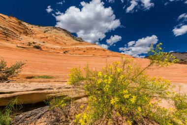Sıcak gün batımı ışık altında parlak sahne Bryce Canyon Milli Parkı,
