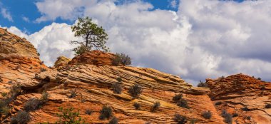 Sıcak gün batımı ışık altında parlak sahne Bryce Canyon Milli Parkı,