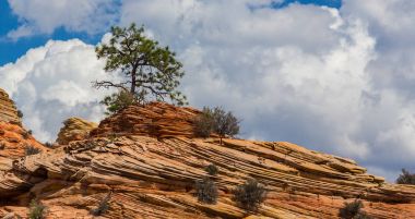 Sıcak gün batımı ışık altında parlak sahne Bryce Canyon Milli Parkı,