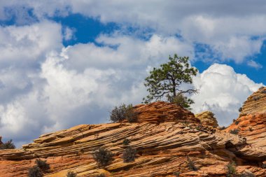 Sıcak gün batımı ışık altında parlak sahne Bryce Canyon Milli Parkı,