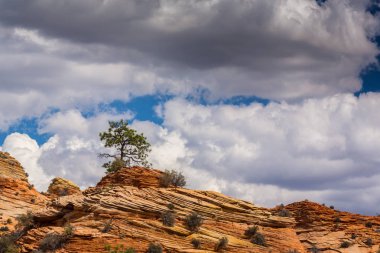 Sıcak gün batımı ışık altında parlak sahne Bryce Canyon Milli Parkı,
