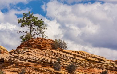 Sıcak gün batımı ışık altında parlak sahne Bryce Canyon Milli Parkı,