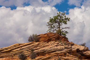 Sıcak gün batımı ışık altında parlak sahne Bryce Canyon Milli Parkı,