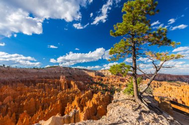 Sıcak gün batımı ışık altında parlak sahne Bryce Canyon Milli Parkı,