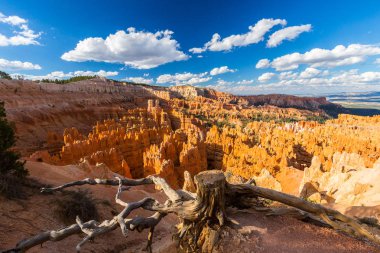 Sıcak gün batımı ışık altında parlak sahne Bryce Canyon Milli Parkı,