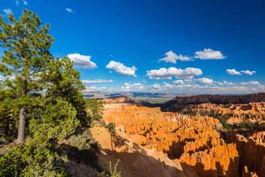Sıcak gün batımı ışık altında parlak sahne Bryce Canyon Milli Parkı,