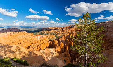 Sıcak gün batımı ışık altında parlak sahne Bryce Canyon Milli Parkı,