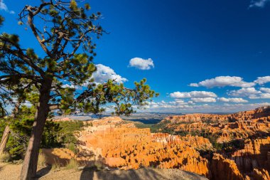 Sıcak gün batımı ışık altında parlak sahne Bryce Canyon Milli Parkı,