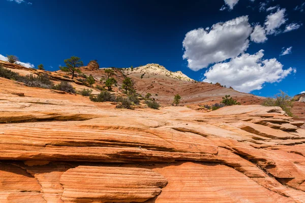 Sıcak gün batımı ışık altında parlak sahne Bryce Canyon Milli Parkı,