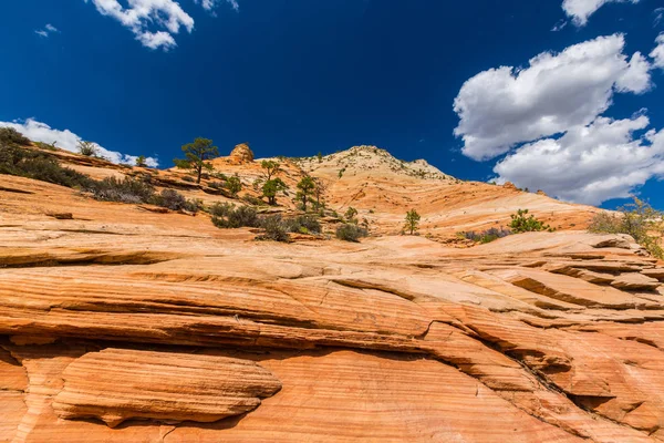 Sıcak gün batımı ışık altında parlak sahne Bryce Canyon Milli Parkı,