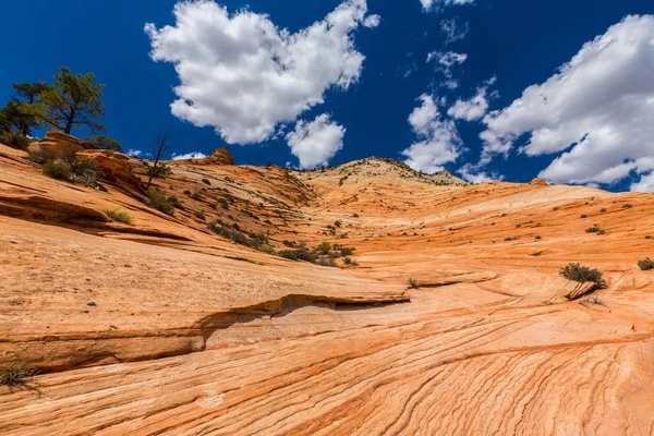 Ljusa landskap i Bryce Canyon National Park, under varma solnedgången ljus — Stockfoto