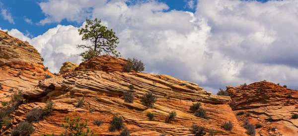 Sıcak gün batımı ışık altında parlak sahne Bryce Canyon Milli Parkı,
