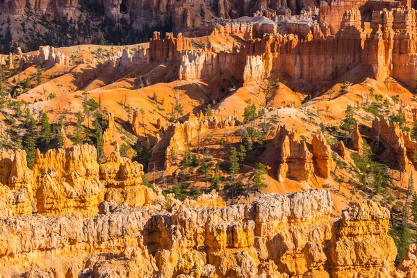 Paisaje luminoso en el Parque Nacional Bryce Canyon, bajo una cálida luz del atardecer — Foto de Stock