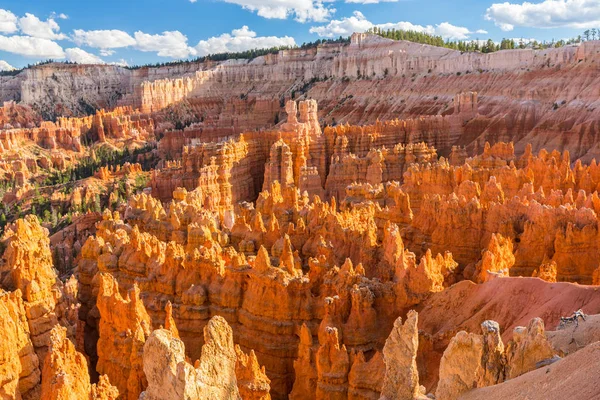 Bright scenery in Bryce Canyon National Park, under warm sunset light — Stock Photo, Image