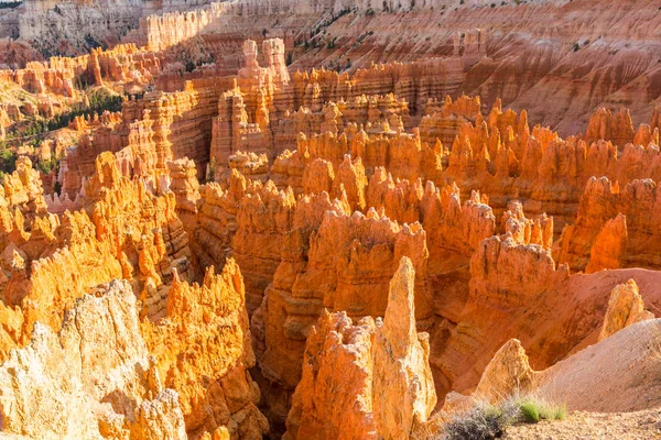 Sıcak gün batımı ışık altında parlak sahne Bryce Canyon Milli Parkı,