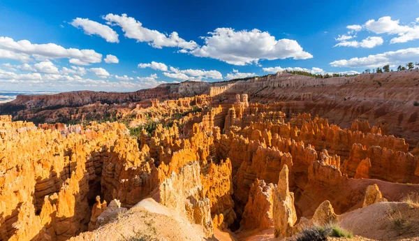 Sıcak gün batımı ışık altında parlak sahne Bryce Canyon Milli Parkı,