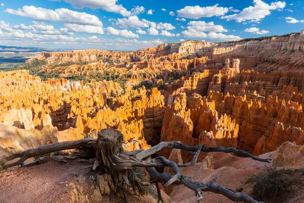 Sıcak gün batımı ışık altında parlak sahne Bryce Canyon Milli Parkı,