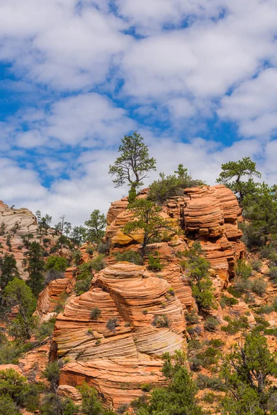 Kırmızı kaya oluşumları ile güzel sahne Zion National Park
