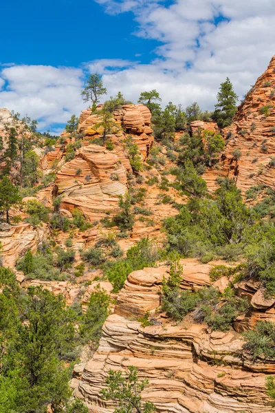 Kırmızı kaya oluşumları ile güzel sahne Zion National Park