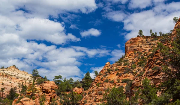 Kırmızı kaya oluşumları ile güzel sahne Zion National Park