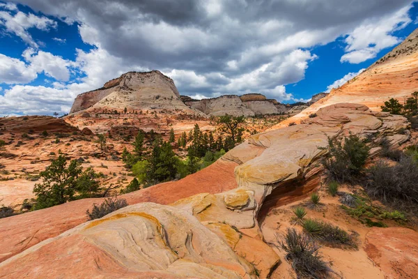 Όμορφο τοπίο στο εθνικό πάρκο Zion, με κόκκινα πετρώματα — Φωτογραφία Αρχείου