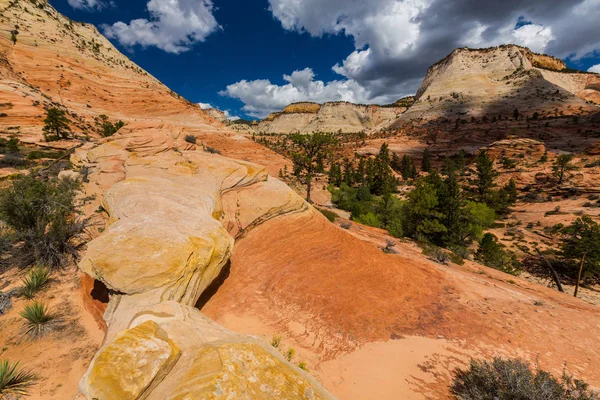 Kırmızı kaya oluşumları ile güzel sahne Zion National Park