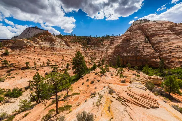 Kırmızı kaya oluşumları ile güzel sahne Zion National Park