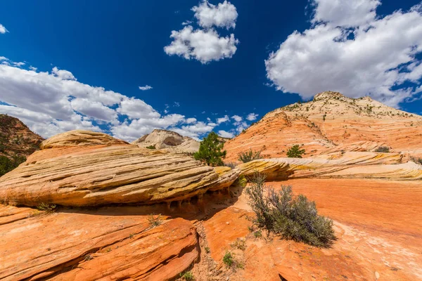 Kırmızı kaya oluşumları ile güzel sahne Zion National Park
